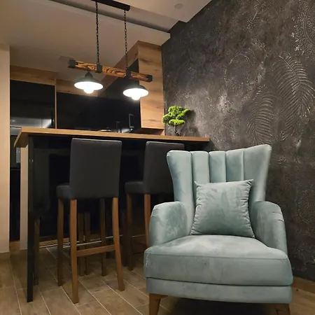 Apartment Tesic Banja Koviljaca