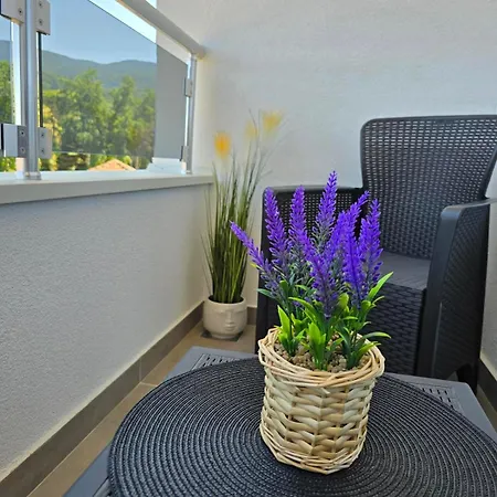 Apartment Tesic *