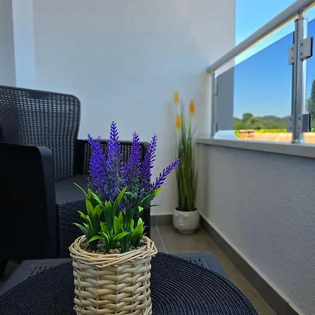 Apartment Tesic *